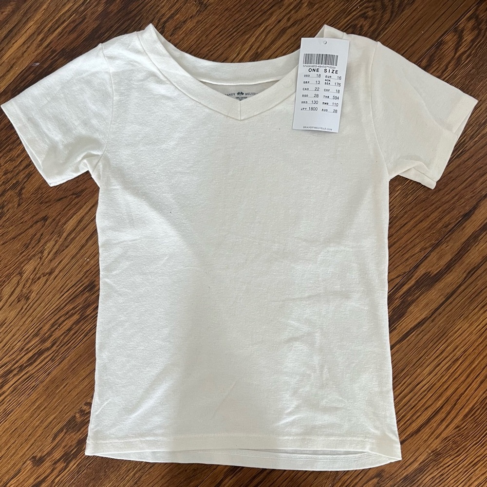 Brandy Melville V Neck Top
